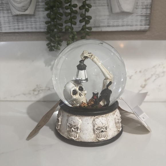 Skeleton Light Up Snow Globe - Picture 1 of 5